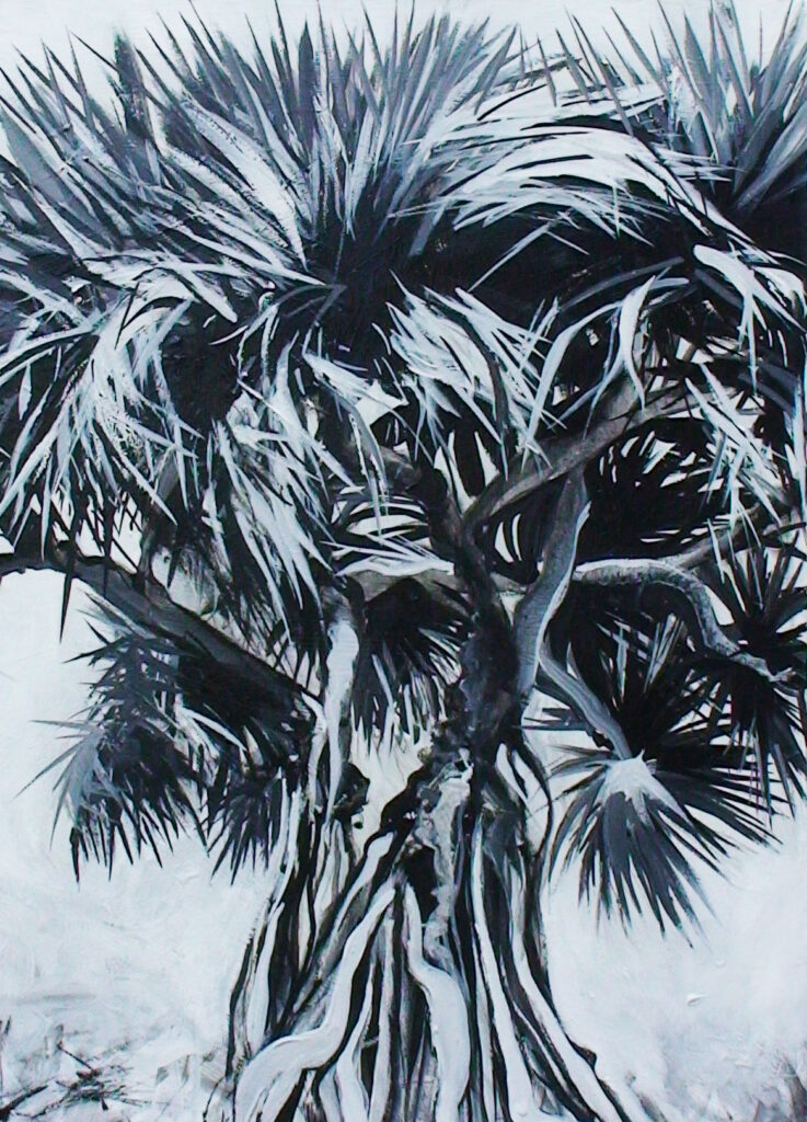 Pandanus Study 1