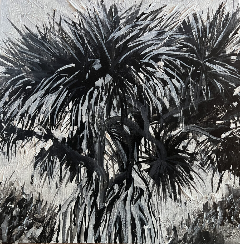 Pandanus Study 2